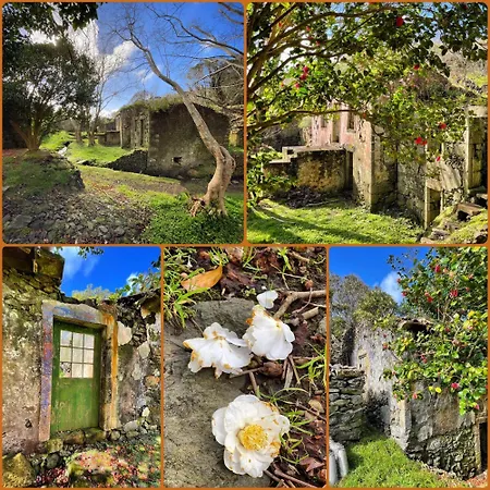 Lägenhet Casa Do Stefan *