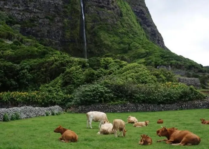 Casa Do Stefan Lomba (Flores)