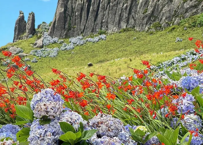 Casa Do Stefan Appartamento