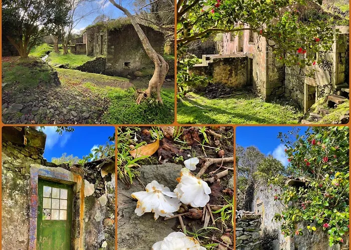 Apartment Casa Do Stefan *